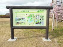 �ץ鵼�ڴ��ġ�����